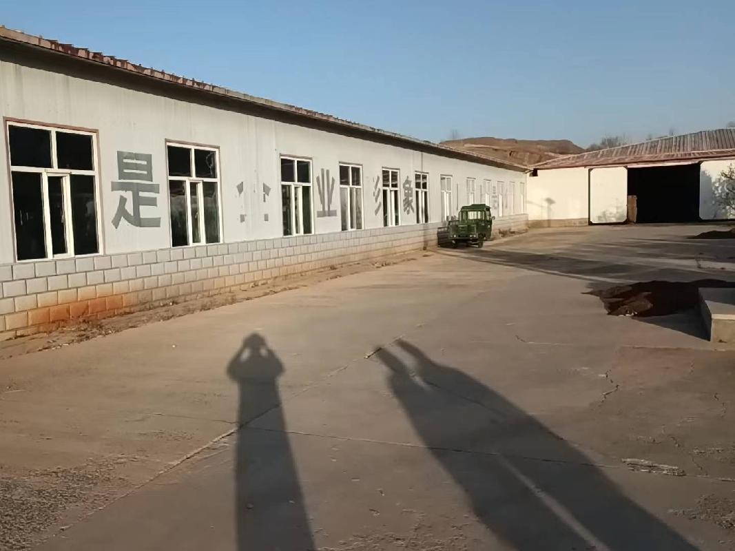 乌兰察布卓资县卓资山镇蓝旗村，内蒙古蒙鑫食品有限责任公司厂房院落