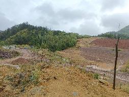 衢江区黄坛口乡黄坛口村“大麻洋”油茶地公开挂牌招租(二次挂牌)