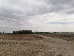 2023年赤峰市阿鲁科尔沁旗耕地储备库（土地平整工程、灌溉与排水工程）项目第三标段（双胜镇小新庙、天山镇新平村）的施工中土地公开招选试种方