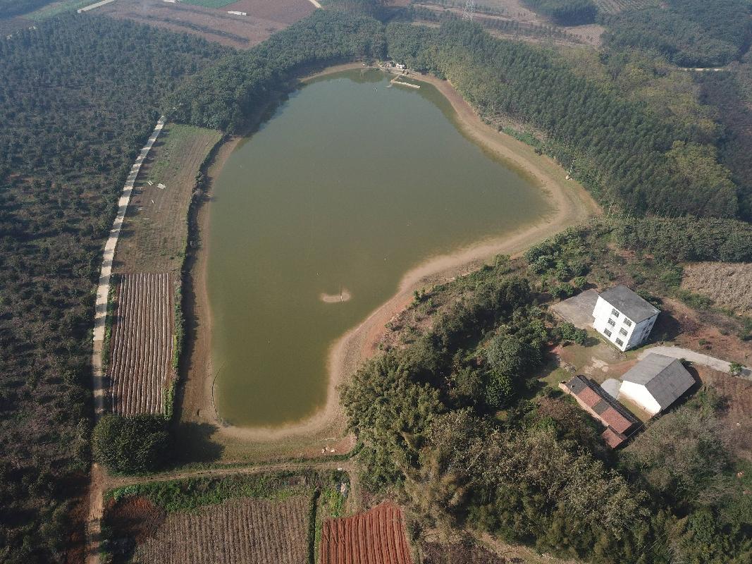 柳州市柳北区石碑坪镇留休村38.215亩水鸭塘鱼塘经营权流转项目（二次挂牌）