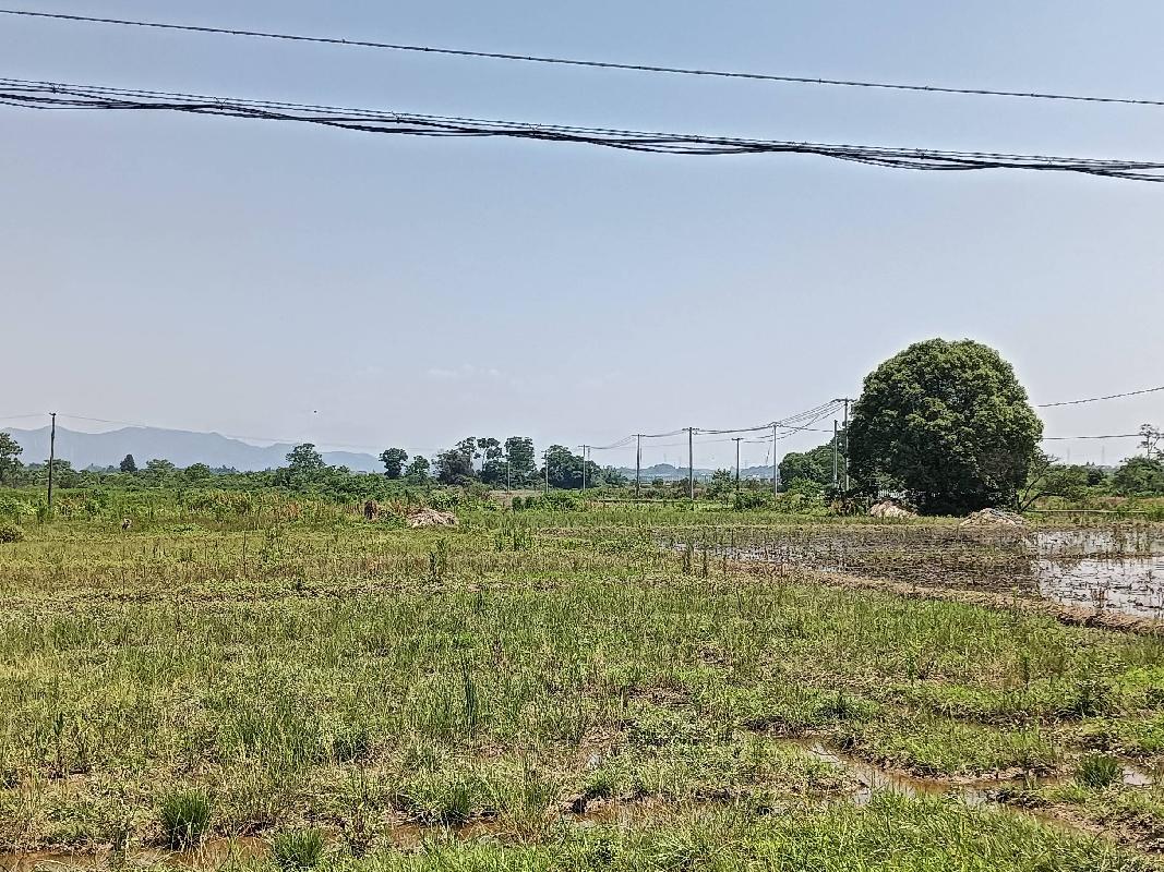 衢江区后溪镇泉井边村耕地水土保持生态农业资源经营权公开挂牌招租-农村产权交易服务平台