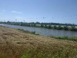 芜湖市鸠江区白茆镇三官殿社区红旗2－6组约273.53亩土地经营权