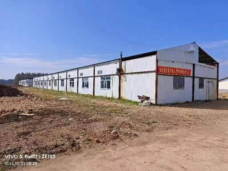 伊春森工友好林业局两处彩钢房（羊舍）转让交易公告(国资监测编号GR2024HL2002219)