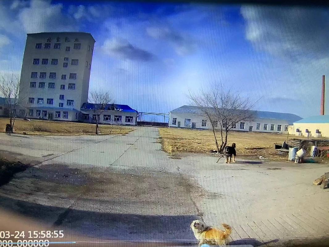 鄂温克族自治旗锡尼河西苏木呼伦贝尔北雪乳业有限责任公司房产等6处房产
