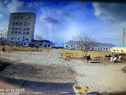 鄂温克族自治旗锡尼河西苏木呼伦贝尔北雪乳业有限责任公司房产等6处房产