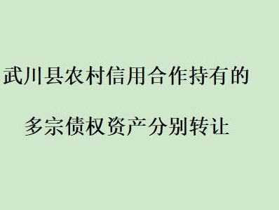 武川县农村信用合作持有的多宗债权资产分别转让