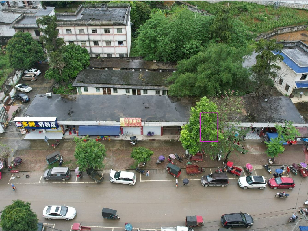 广西壮族自治区大新公路养护中心宝圩养护站房（住宅2）第10号房屋招租（5年）项目交易公告