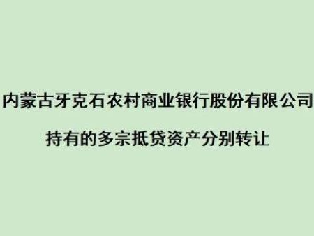 牙克石农村商业银行持有的21宗房产