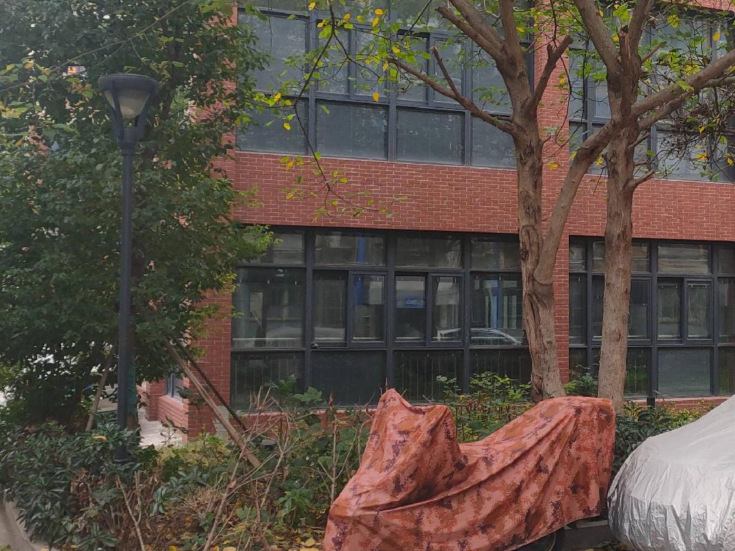 南京邮电大学三牌楼校区西门西院4-203室房屋公开招租(国资监测编号GR2024JS1007055)