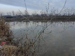 芜湖三山经济开发区保定街道联群村小洲柴场圩内约93亩水面及附属用房经营权