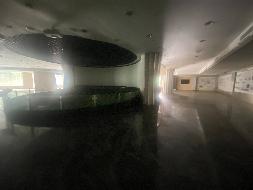 黄山风景区南大门游客中心房产出租公告(国资监测编号GR2024AH2001443)