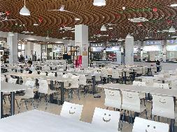 南通大学启东校区二期食堂一楼（标段十）经营方公开遴选