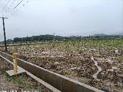 芜湖三山经济开发区高安街道白象村股份经济合作社约80亩土地经营权