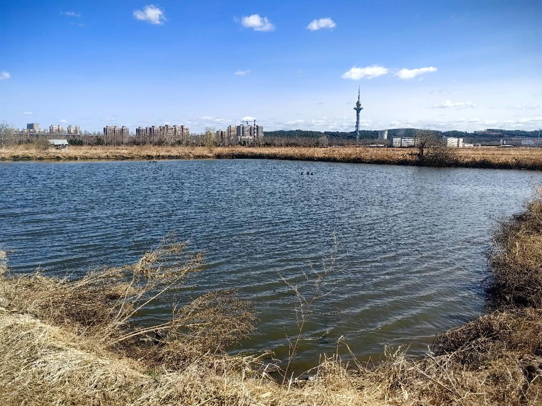 穆棱市农业技术推广中心一处鱼种场水域养殖使用权及附属设施出租交易公告(国资监测编号GR2024HL2002256)