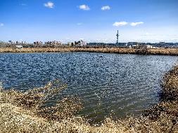 穆棱市农业技术推广中心一处鱼种场水域养殖使用权及附属设施出租交易公告(国资监测编号GR2024HL2002256)