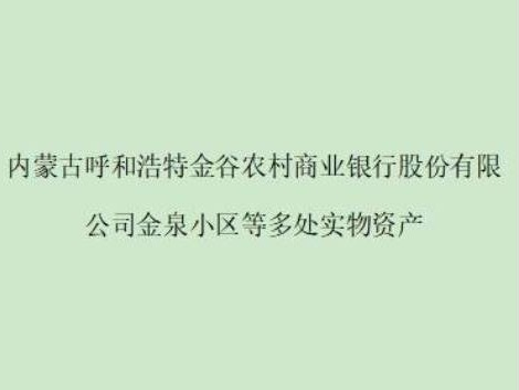 内蒙古呼和浩特金谷农村商业银行股份有限公司金泉小区等多处实物资产按项目宗数分别公开转让（第四轮-2）