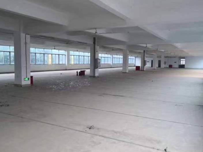 长沙市芙蓉区隆平高科技园隆园三路99号美地思工业园2号厂房101的201号房3楼（建筑面积合计1354㎡）招租(国资监测编号GR2024HN1000896)