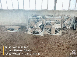 存放于善友板牧场的一批废旧设备、废旧物资转让（呼和浩特淳华牧业有限责任公司）(国资监测编号GR2024NM1002050)