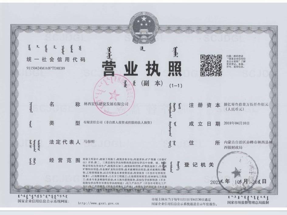 林西宏伟建设发展有限公司拟择优选择股权投资标的公司项目
