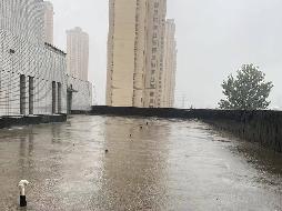 江苏省连云港中医药高等职业技术学校第一食堂招租（一标段）