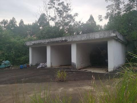 广西来宾市武宣县东乡镇金岗村民委金榜村的土地及地上建筑物整体转让项目交易公告(六次挂牌)