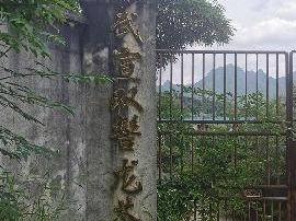 广西来宾市武宣县东乡镇金岗村民委金榜村的土地及地上建筑物整体转让项目交易公告(六次挂牌)