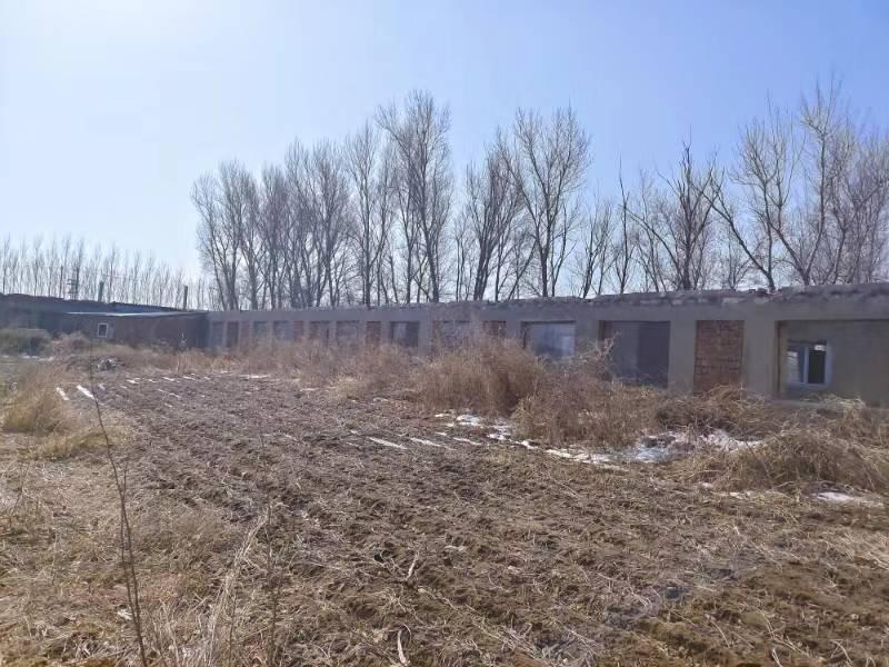 内蒙古自治区通辽市科尔沁左翼后旗金宝屯镇大市场土地承包经营权整体出租（4年租金47748元）(国资监测编号GR2024NM1002165-2)