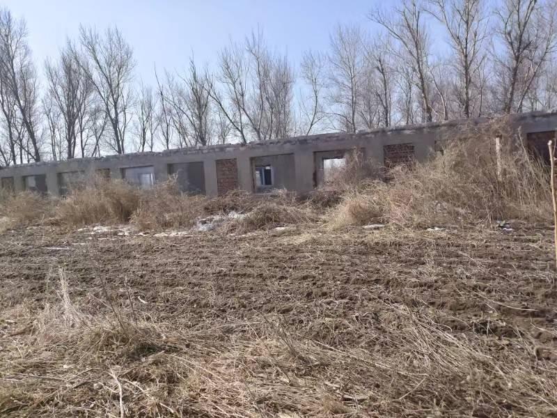 内蒙古自治区通辽市科尔沁左翼后旗金宝屯镇大市场土地承包经营权整体出租（4年租金47748元）(国资监测编号GR2024NM1002165-2)