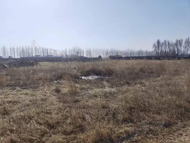 内蒙古自治区通辽市科尔沁左翼后旗金宝屯镇大市场土地承包经营权整体出租（4年租金47748元）(国资监测编号GR2024NM1002165-2)