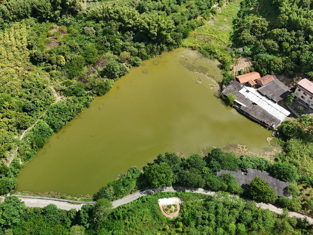柳州市城中区静兰街道环江村约16.488亩鱼塘经营权流转项目