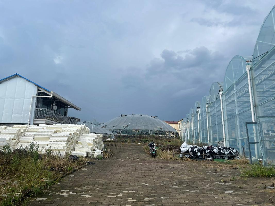 柳州市柳北区长塘镇北岸村“智慧农业”立体种植示范基地经营权流转项目