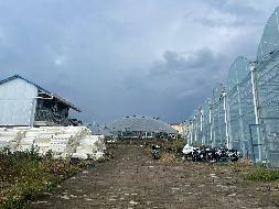 柳州市柳北区长塘镇北岸村“智慧农业”立体种植示范基地经营权流转项目