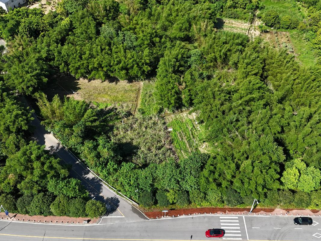 柳州市城中区静兰街道环江村雷村屯约20.54亩土地（承包）经营权流转项目