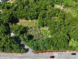 柳州市城中区静兰街道环江村雷村屯约20.54亩土地（承包）经营权流转项目