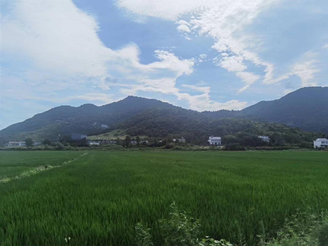 东至县笔架山电石用灰岩、熔剂用白云岩矿建筑石料资产转让公告(国资监测编号GR2024AH2002331)