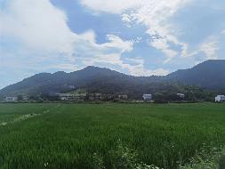 东至县笔架山电石用灰岩、熔剂用白云岩矿建筑石料资产转让公告(国资监测编号GR2024AH2002331)
