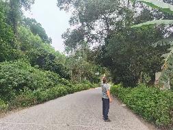 兴业县蒲塘镇县道山心至龙平公路（蒲塘至龙平段）公路用地两侧路树整体转让项目