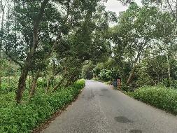 兴业县蒲塘镇县道山心至龙平公路（蒲塘至龙平段）公路用地两侧路树整体转让项目