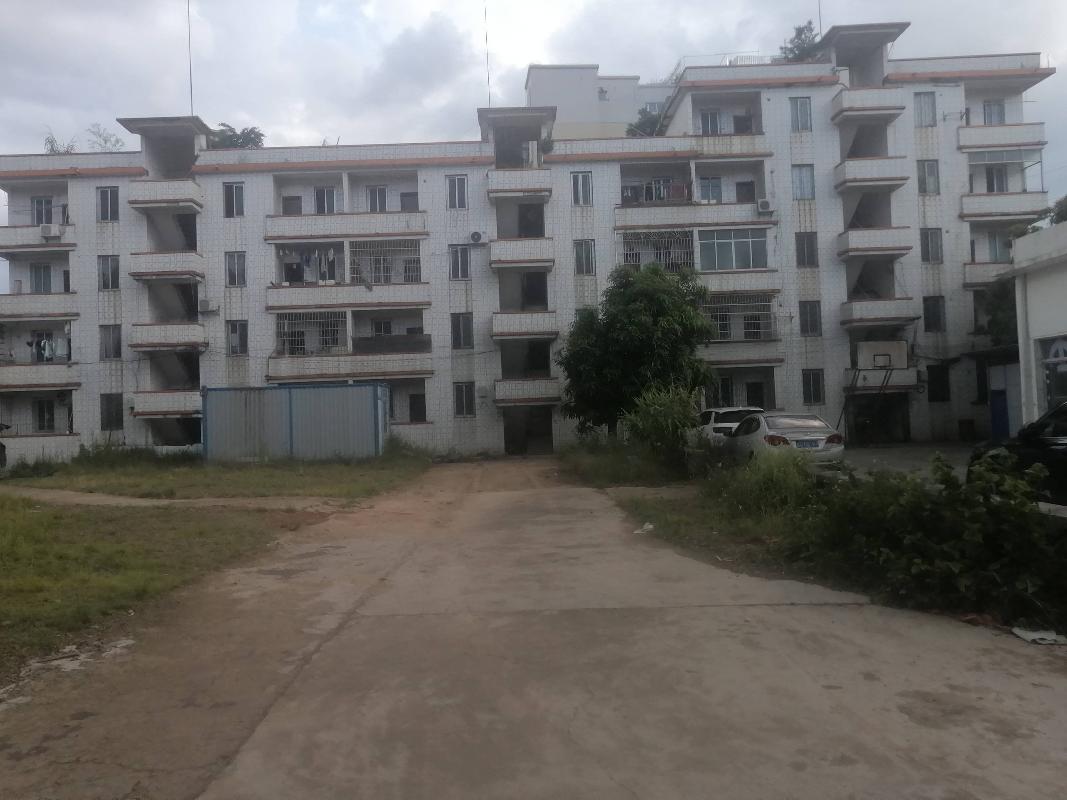 广西壮族自治区苍梧公路养护中心林水养护站部分闲置房屋和土地整体招租（5年）项目交易公告
