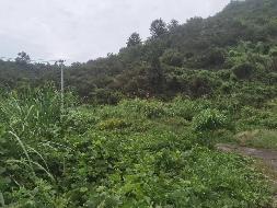 衢江区上方镇龙祥村渣土一批公开挂牌转让