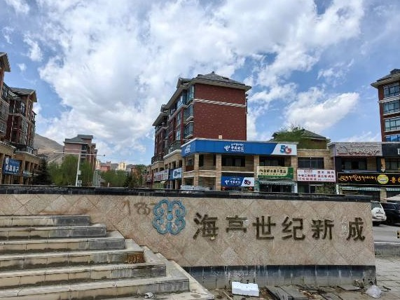 西藏自治区拉萨市柳梧新区海亮世纪新城I 期河畔家园A 区3栋3单元302号住宅(国资监测编号GR2024HN1001208)