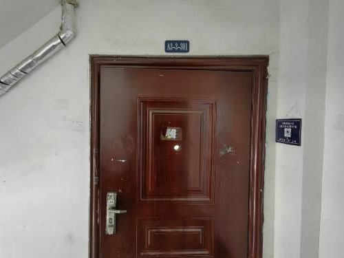 西藏自治区拉萨市柳梧新区海亮世纪新城I期河畔家园A 区3栋3单元301号住宅(国资监测编号GR2024HN1001207)