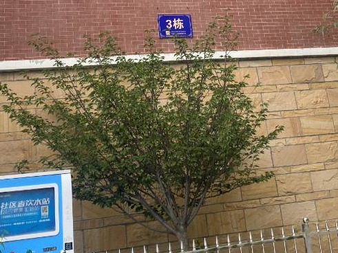西藏自治区拉萨市柳梧新区海亮世纪新城I期河畔家园A 区3栋3单元301号住宅(国资监测编号GR2024HN1001207)