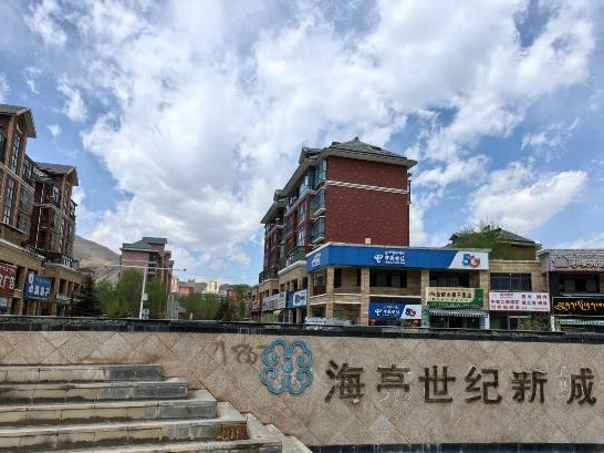 西藏自治区拉萨市柳梧新区海亮世纪新城I期河畔家园A 区3栋3单元301号住宅(国资监测编号GR2024HN1001207)