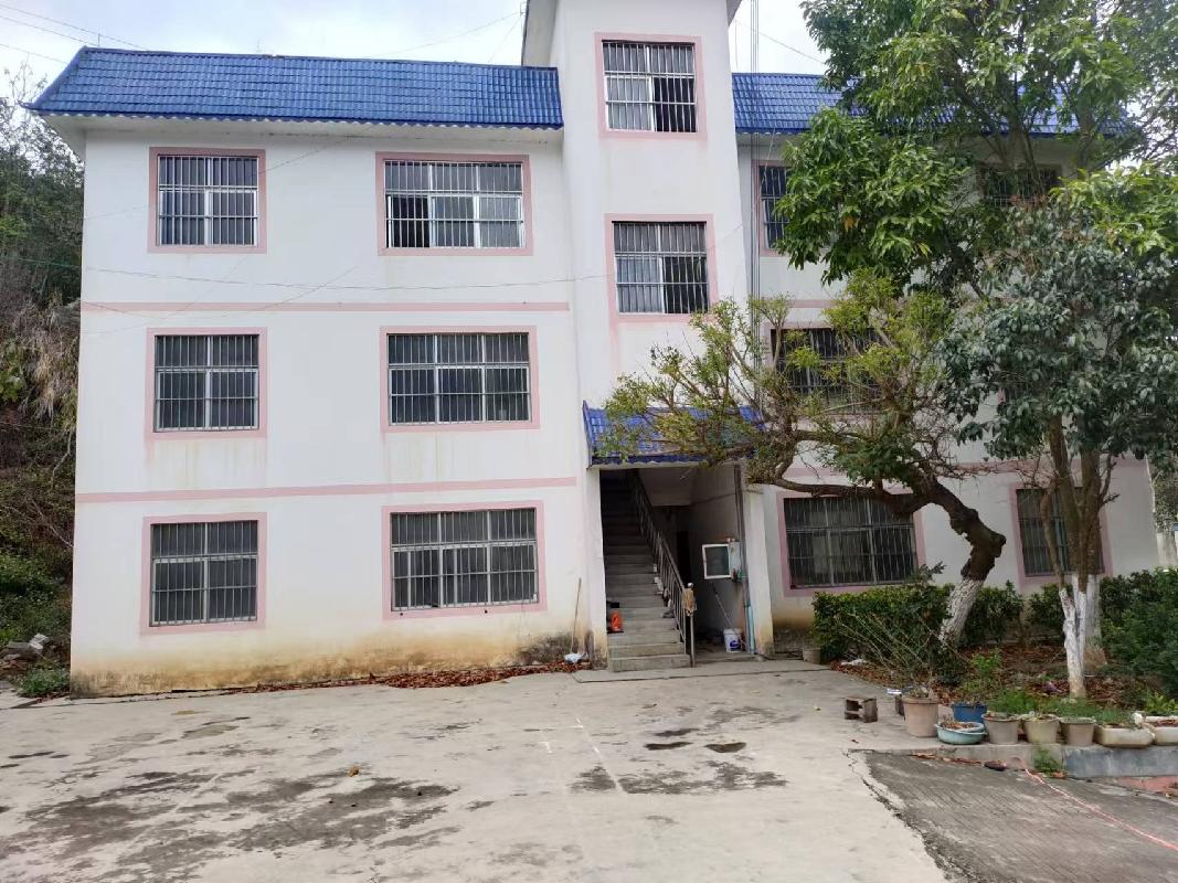 广西壮族自治区田林公路养护中心板桃养护站房屋（田林县潞城乡马逻村板桃街上）整体招租（3年）项目