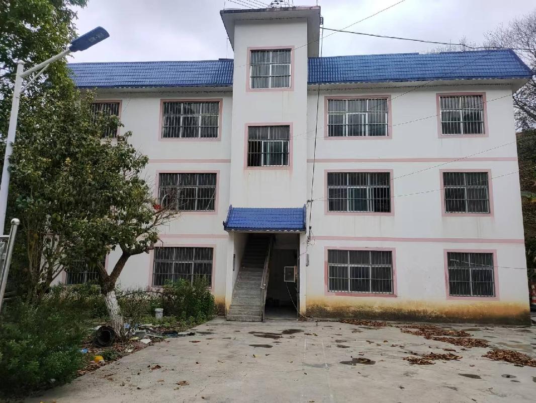广西壮族自治区田林公路养护中心板桃养护站房屋（田林县潞城乡马逻村板桃街上）整体招租（3年）项目