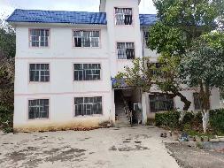 广西壮族自治区田林公路养护中心板桃养护站房屋（田林县潞城乡马逻村板桃街上）整体招租（3年）项目