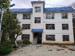广西壮族自治区田林公路养护中心板桃养护站房屋（田林县潞城乡马逻村板桃街上）整体招租（3年）项目