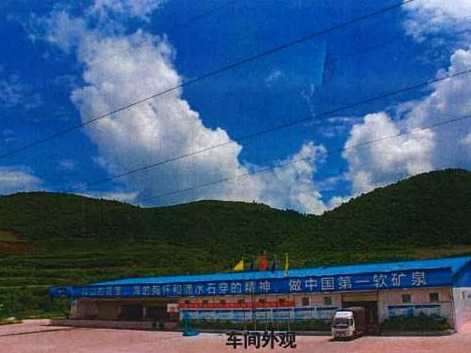 云南兴盛水业有限公司水厂整体租赁(国资监测编号GR2024YN1000742)