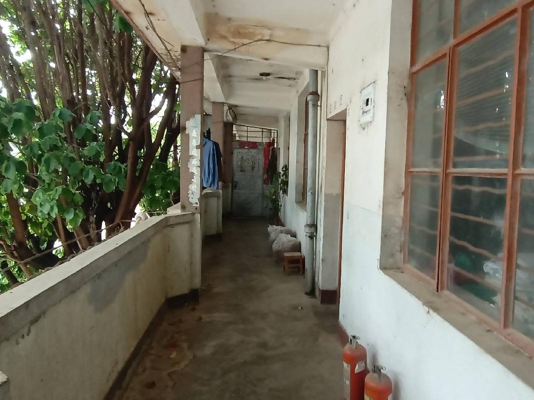 洱源县茈碧湖镇钟凤路房屋建筑物及土地使用权(国资监测编号GR2024YN1000746)